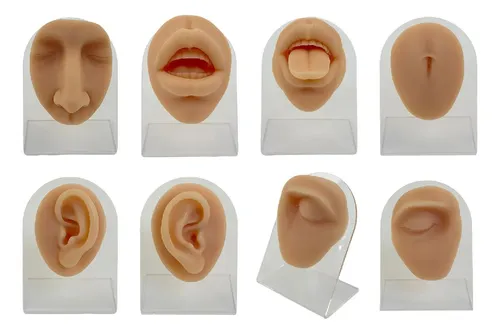 modelos de silicona 3D con soporte acrílico para la práctica de piercings - Image 4